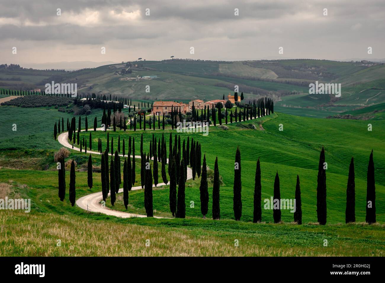 Cipressi lungo una strada tortuosa in Toscana Foto Stock