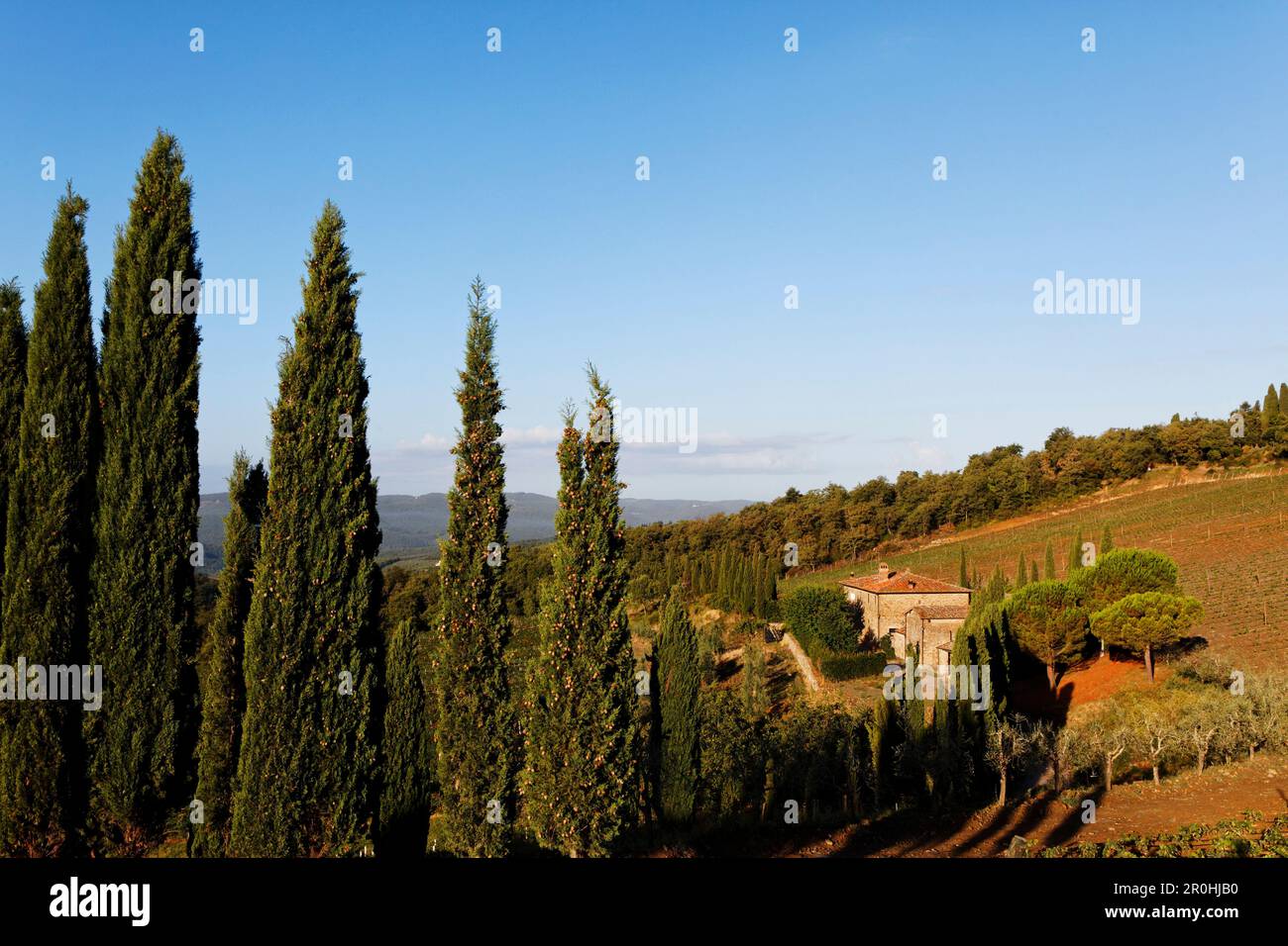 Albola, Radda in Chianti, Toscana, Italia Foto Stock