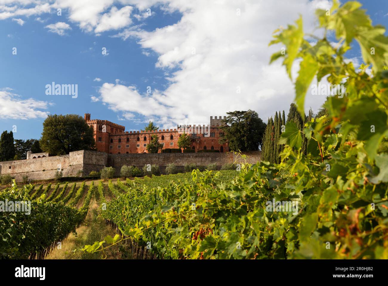 Castello di Bolio, la più antica cantina toscana, Gaiole in Chianti, Toscana, Italia Foto Stock