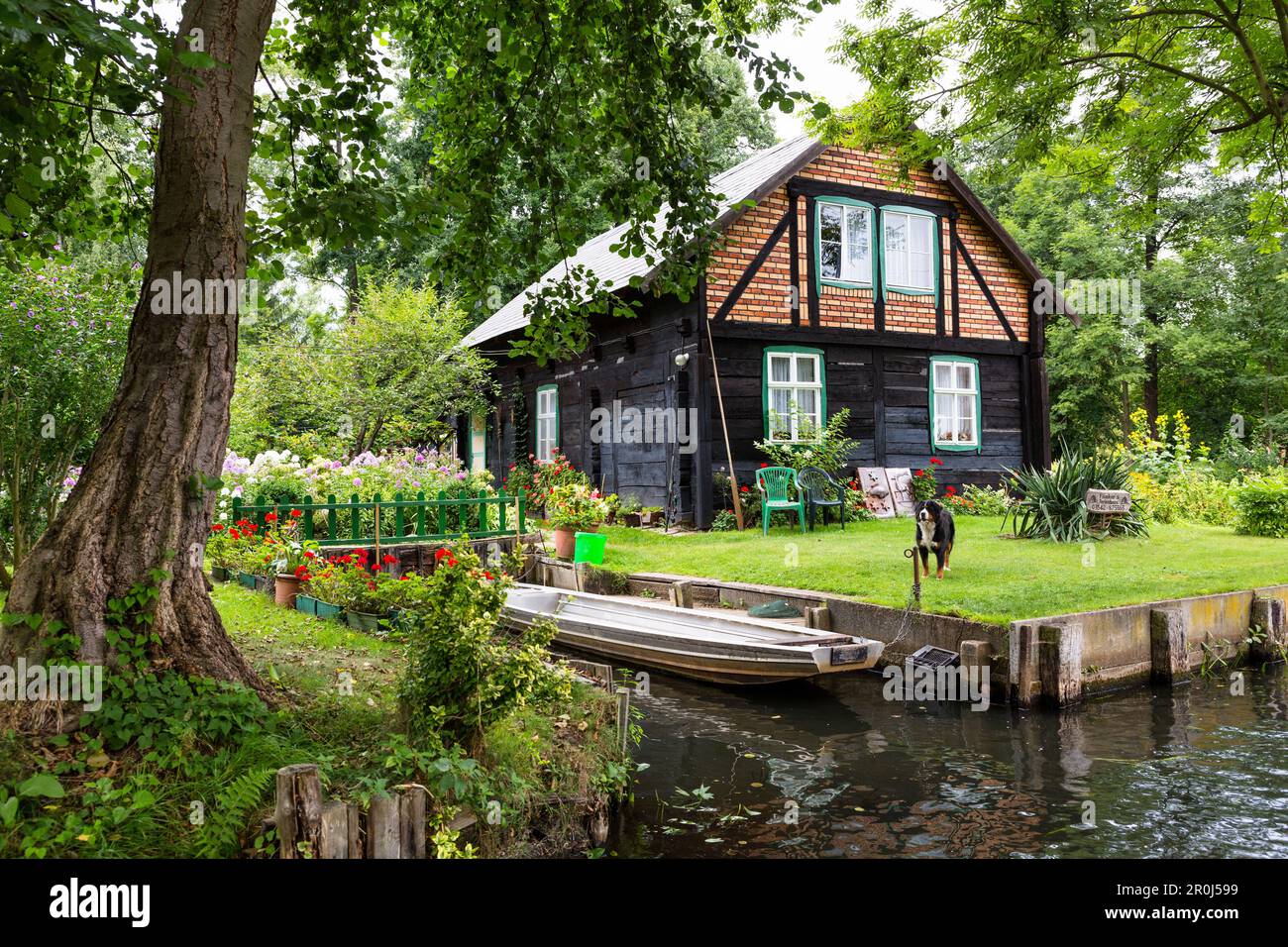 Casa in Spreewald, fiume Spree, riserva della biosfera dall'UNESCO, Lehde, Luebbenau, Brandeburgo, Germania, Europa Foto Stock