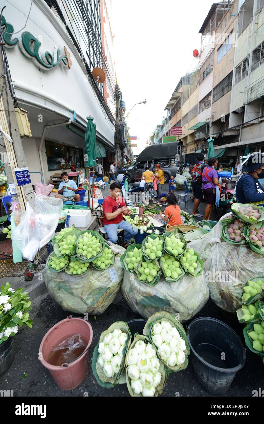 Fiori di loto venduti al colorato Pak Khlong Talat (mercato dei fiori) a Bangkok, Thailandia. Foto Stock