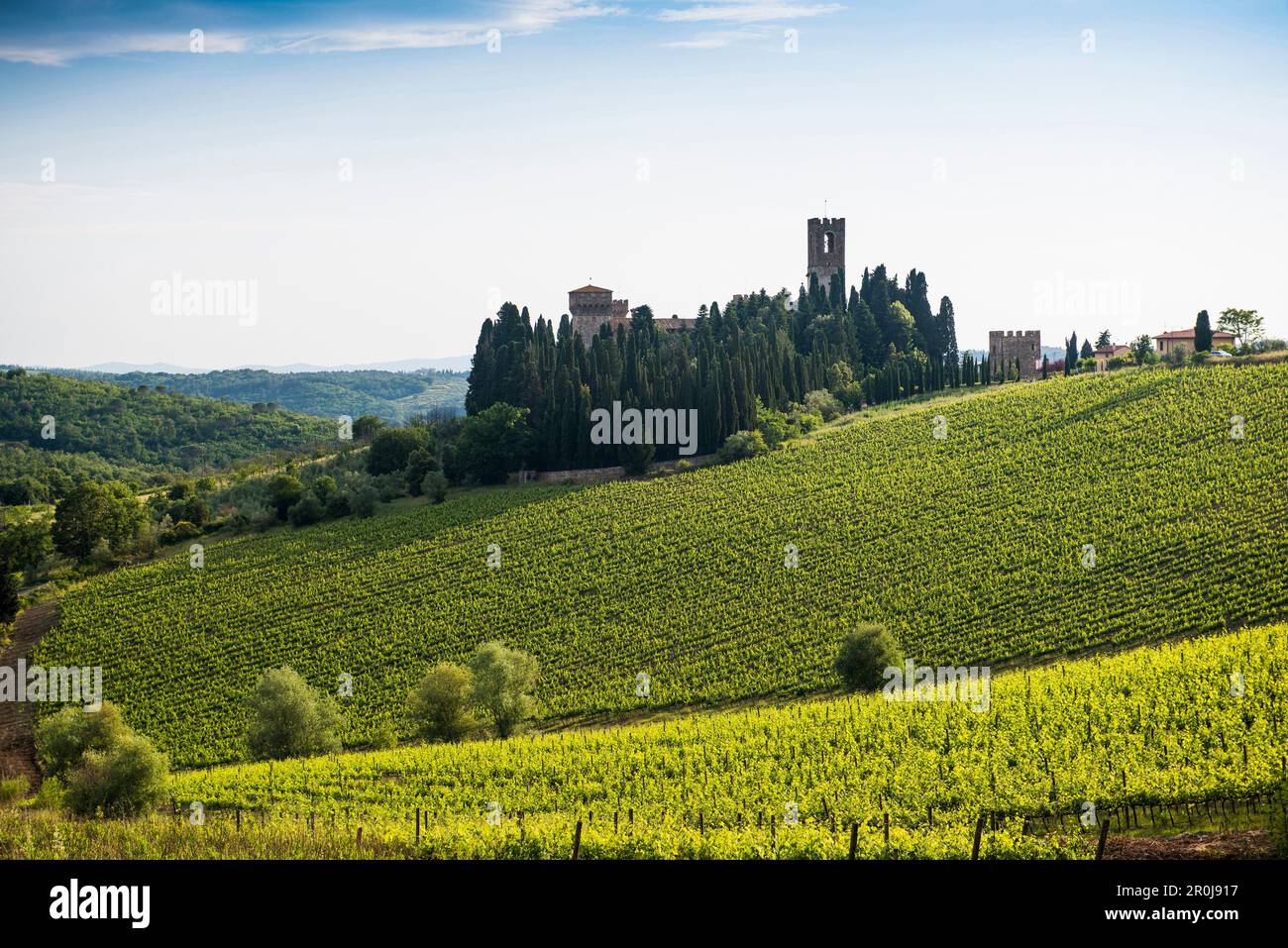 Badia di Passignano, vicino a Greve, Chianti, Toscana, Italia Foto Stock