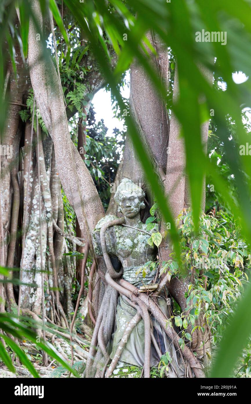 Stone figura intrecciano nelle radici, giardino del museo di arte di Puri Lukisan, Ubud Gianyar, Bali, Indonesia Foto Stock