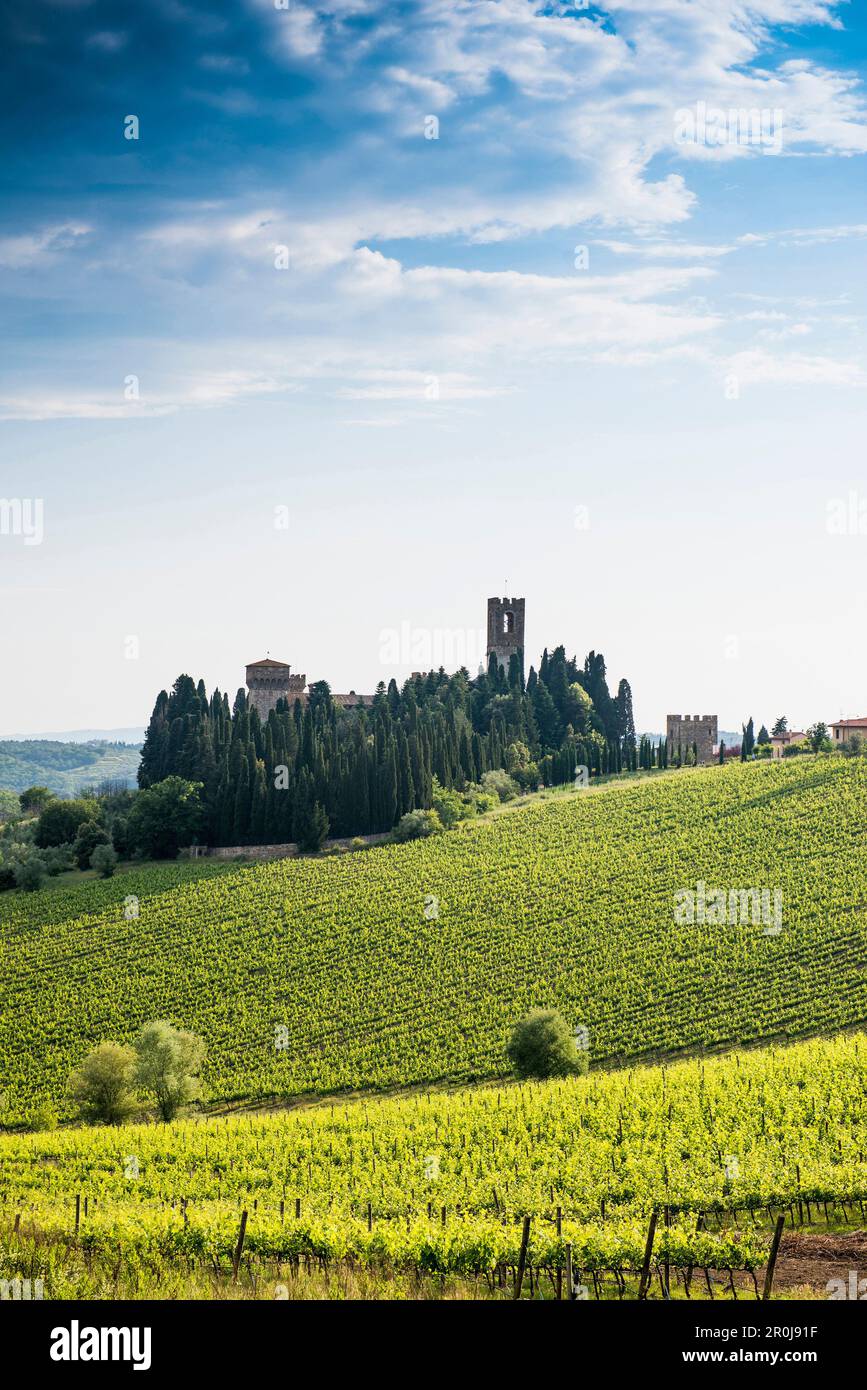 Badia di Passignano, vicino a Greve, Chianti, Toscana, Italia Foto Stock