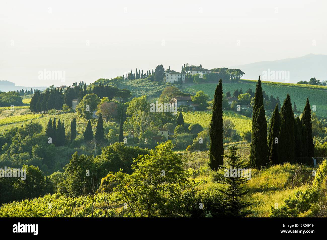 Il paesaggio nei pressi di Tavarnelle Val di Pesa Chianti, Toscana, Italia Foto Stock