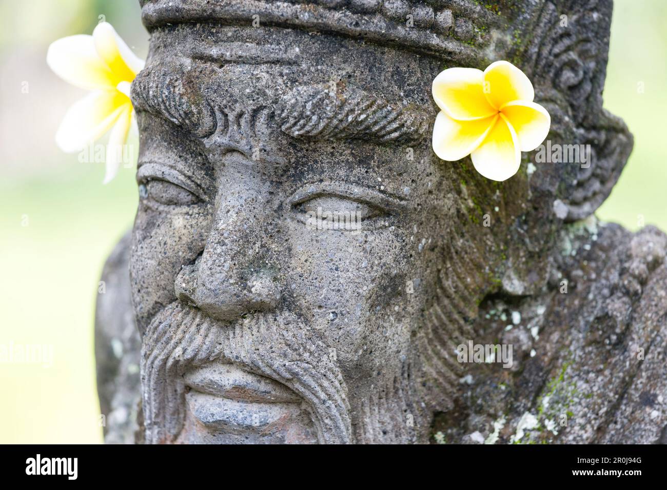 Fiori di frangipani in corrispondenza di una figura di pietra, Ubud Gianyar, Bali, Indonesia Foto Stock