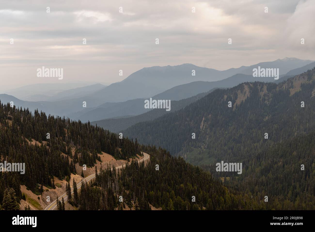 Strada che conduce fino alla cima del Parco Nazionale Olimpico di Hurricane Ridge con montagne a strati sullo sfondo. Foto Stock