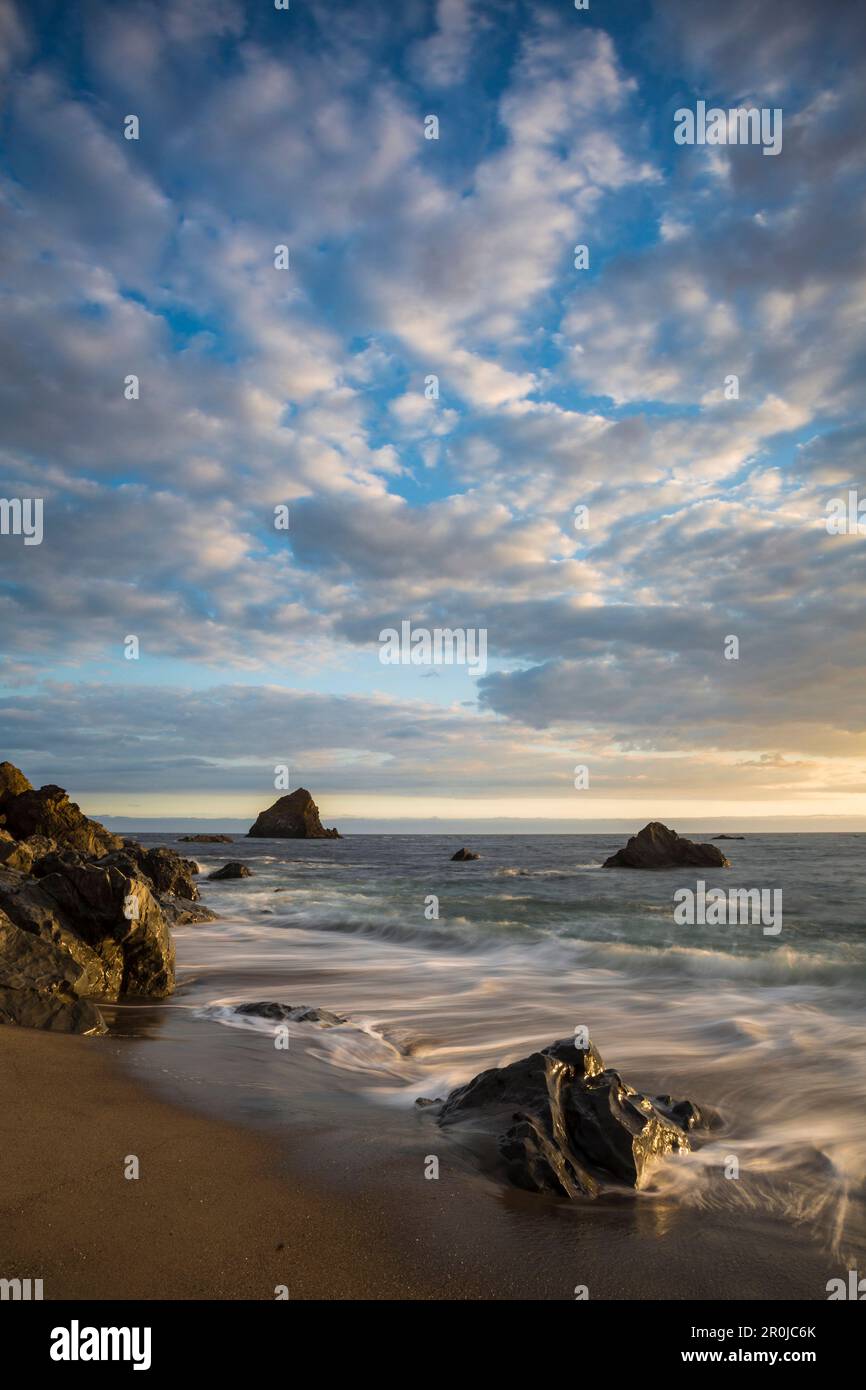 Paesaggio costiero, Navarro River Redwoods state Park, Pacific Coast Highway, autostrada 1, West Coast, Pacific, California, Stati Uniti Foto Stock