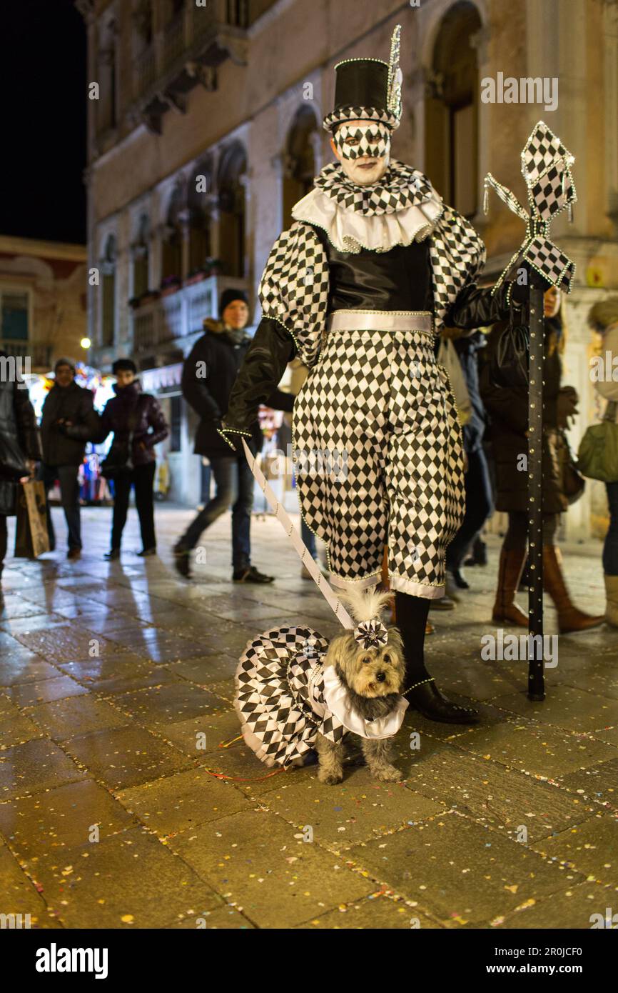 Carnevale veneziano, turismo, maschere, harlequin, costume, Bianco e nero, posa, cane, Venezia, Italia Foto Stock
