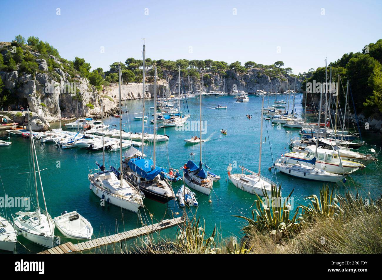 Porto, Calanque de Porto Miou, Bouches-du-Rhone, Francia Foto Stock