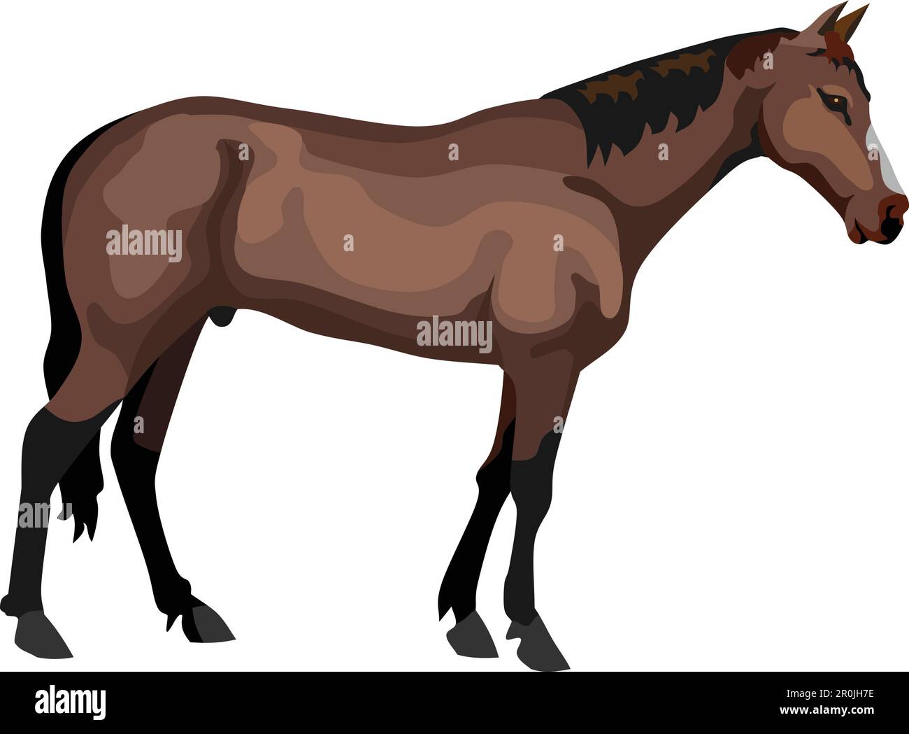 Vettore animale di mammifero del cavallo Illustrazione Vettoriale