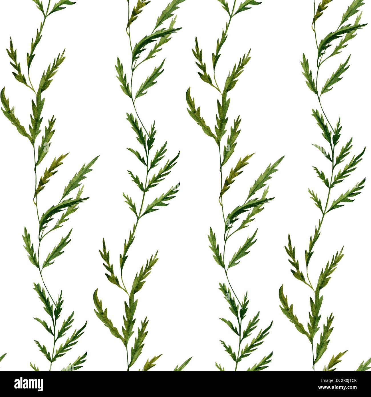 Motivo senza cuciture con acquerello foglie verdi disegnate a mano su sfondo bianco. Foto Stock