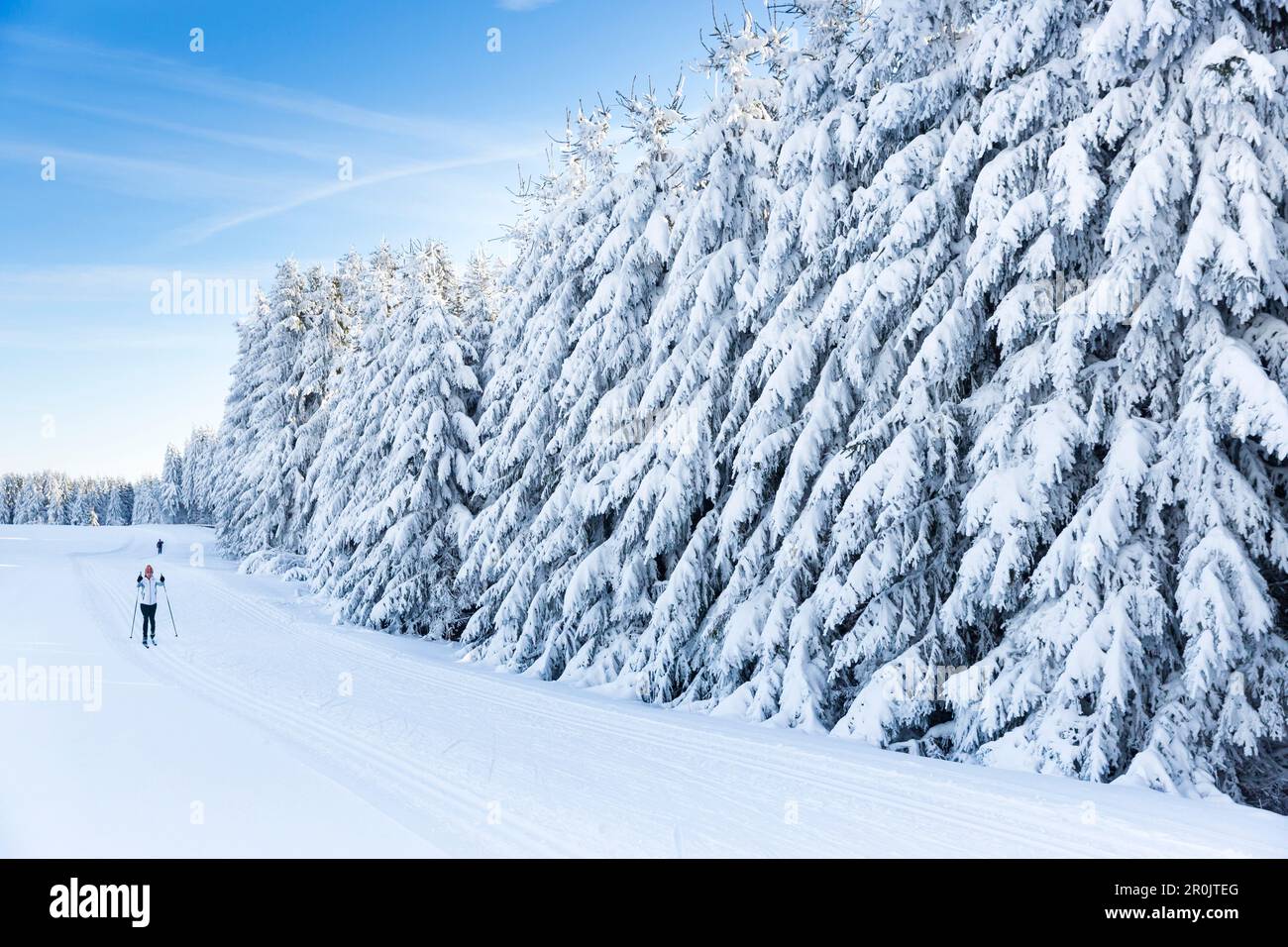 Donne sciate nei pressi di una foresta invernale, sci di fondo, MR, Holzhau, Sassonia, Germania Foto Stock