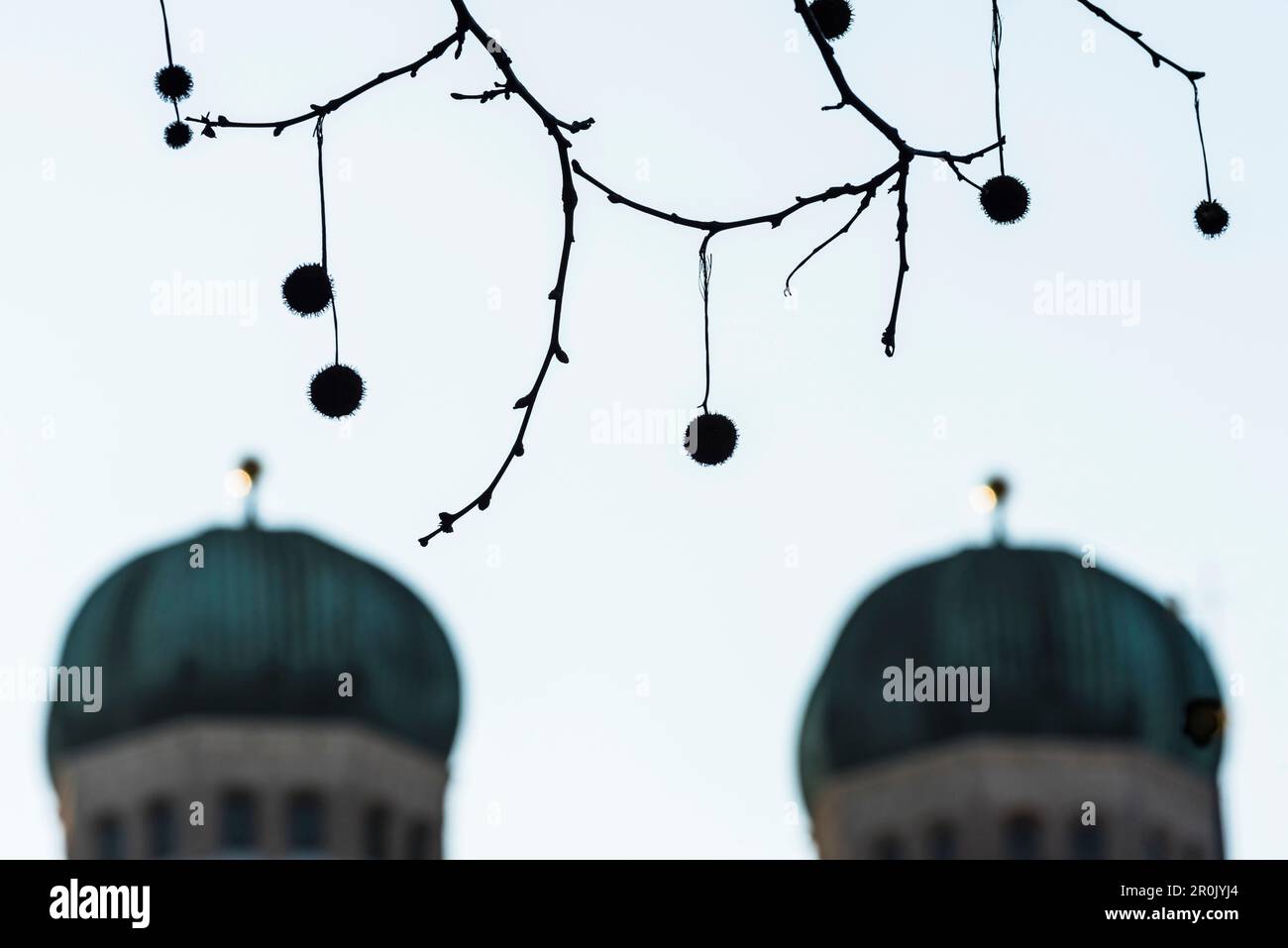 Castagne di fronte allo sfondo delle torri della Chiesa Frauenkirche, Dom zu Unserer Lieben Frau, Monaco, Bavarians, Germania Foto Stock