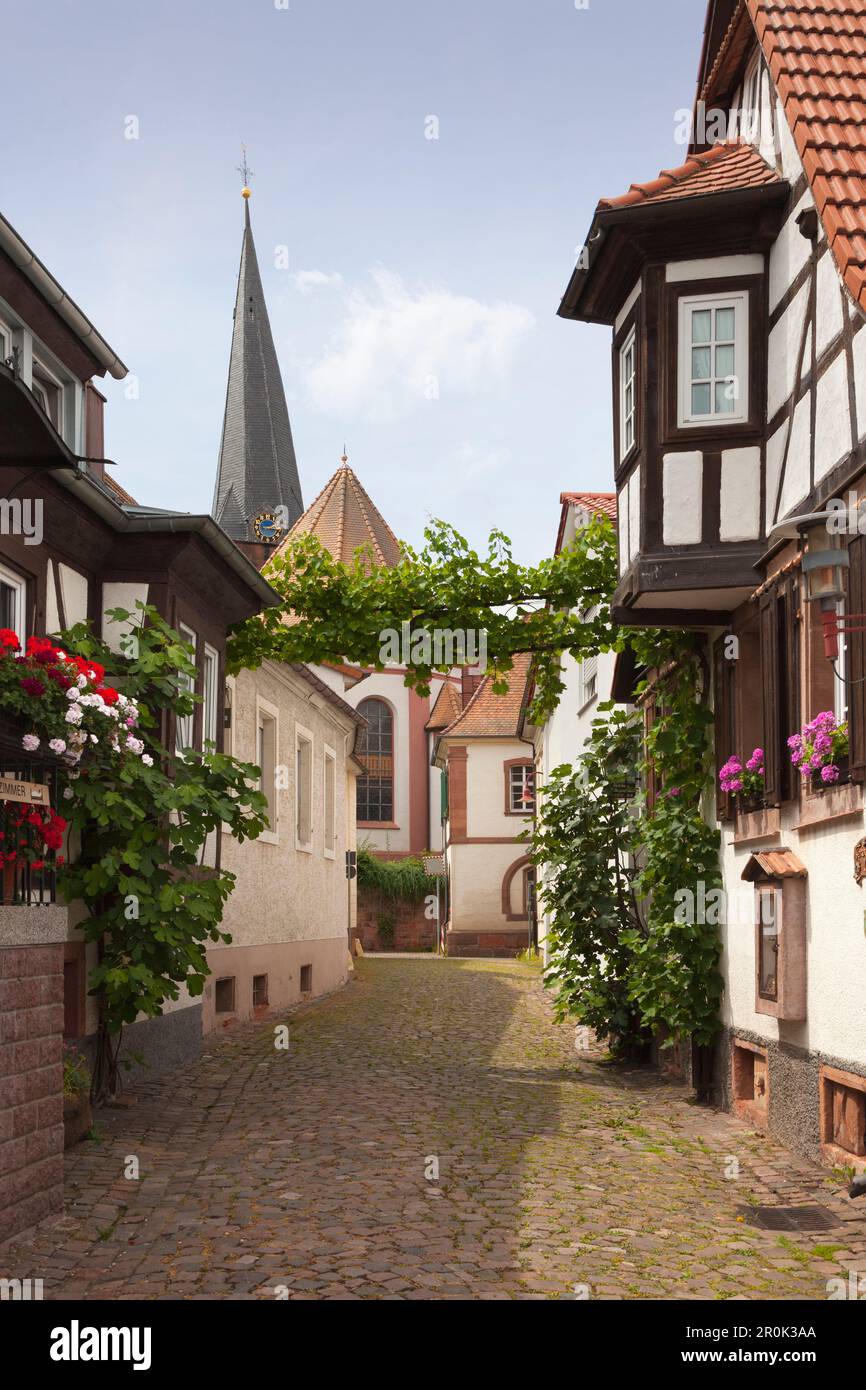 Artist Quarters, Rhodt unter Rietburg, Palatinate Forest, Renania-Palatinato, Germania Foto Stock