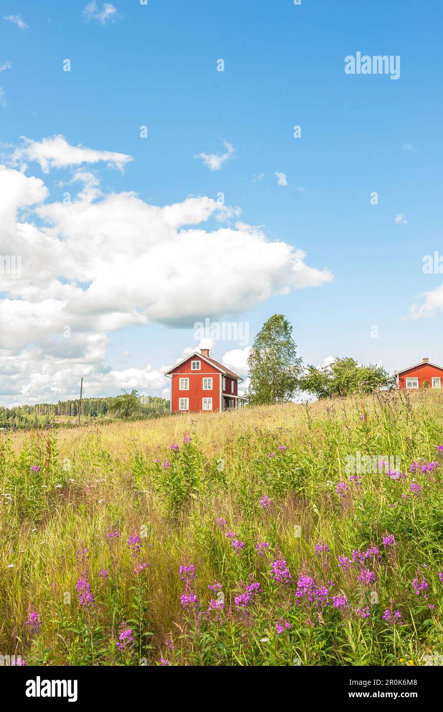 Case di legno rosso nella fattoria di Selma Lagerlof, Marbacka, Sunne, Varmland, Svezia Foto Stock