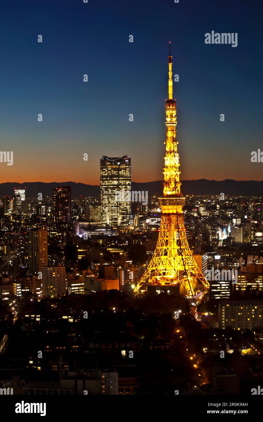Colline di Roppongi e Torre di Tokyo dopo il tramonto visto dal World Trade Center Building, Hamamatsucho, Minato-ku, Tokyo, Giappone Foto Stock