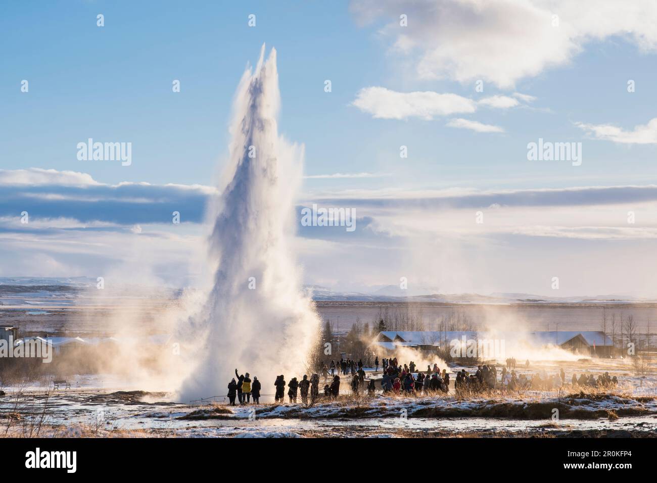Il geyser ''Strokkur'' (che significa barile di burro) erutta in un paesaggio innevato al sole d'inverno, Geysir, Haukadalslaug Hot Pot, Haukadalsvegur, Sudurland, IC Foto Stock