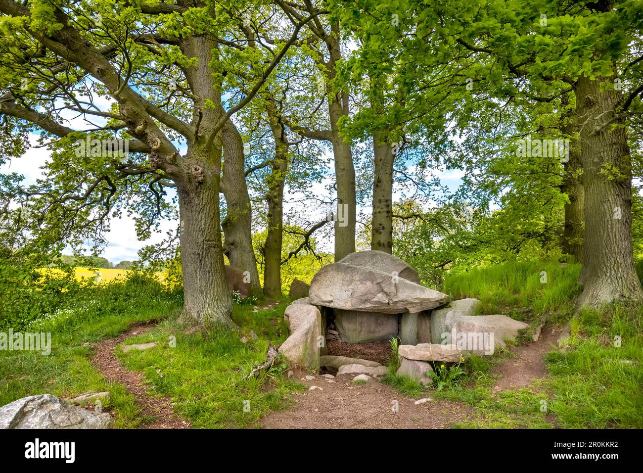 Tomba preistorica, Lancken-Granitz, Ruegen Isola, Meclemburgo-Pomerania Occidentale, Germania Foto Stock