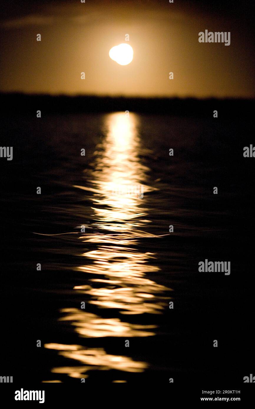 MESSICO, Baja, Magdalena Bay, Oceano Pacifico, la luna che si rielegge sulla Magdalena Bay Foto Stock