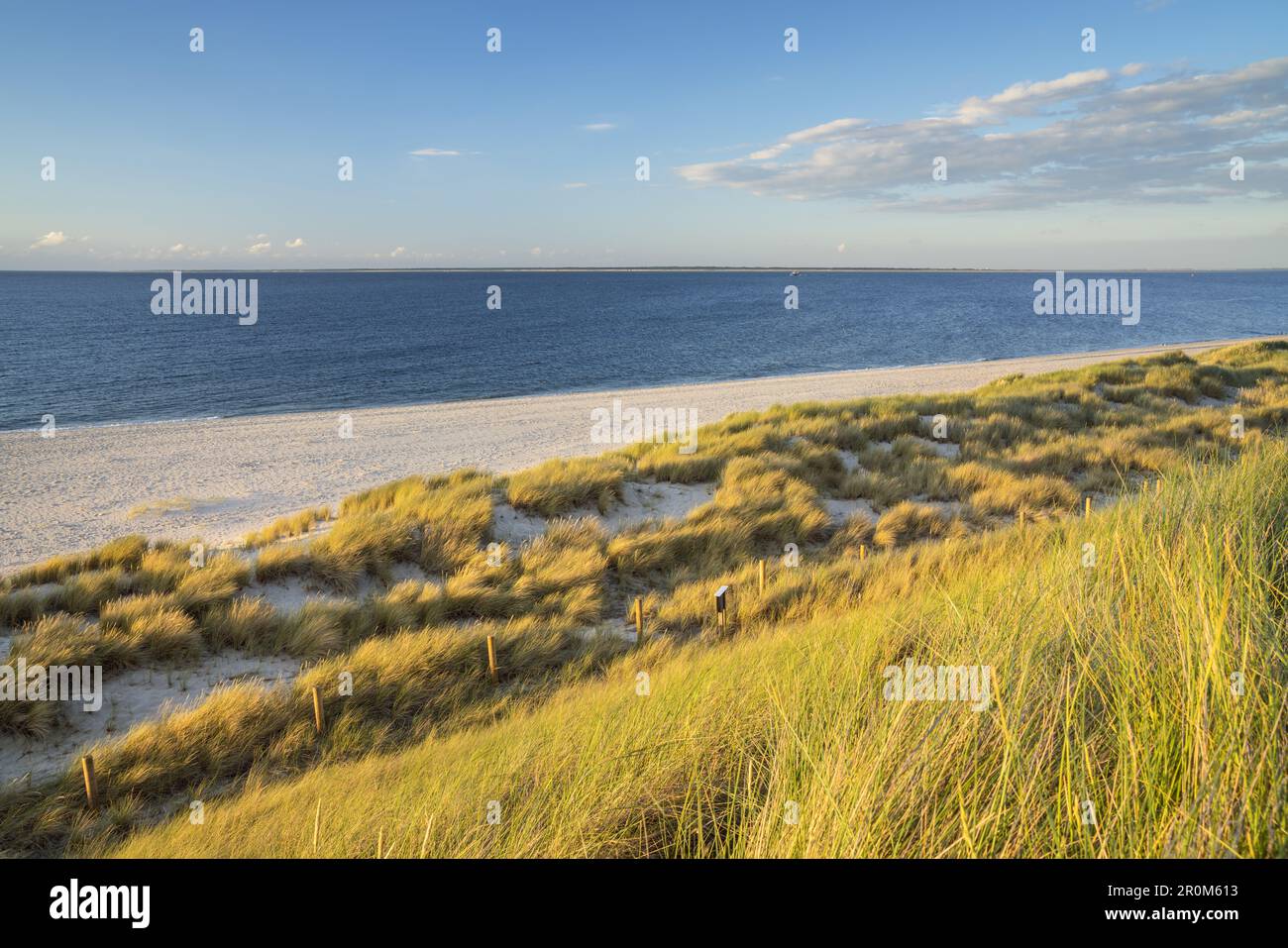 Spiaggia sulla penisola di Ellenbogen, List, North Frisian Island Sylt, North Sea Coast, Schleswig-Holstein, Germania settentrionale, Germania, Europa Foto Stock