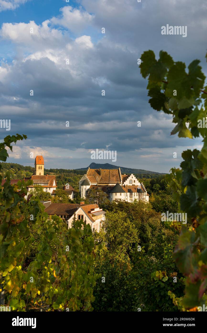 Blumenfeld Castello, Tengen, Costanza County, Hegau, Baden-Württemberg, Germania Foto Stock