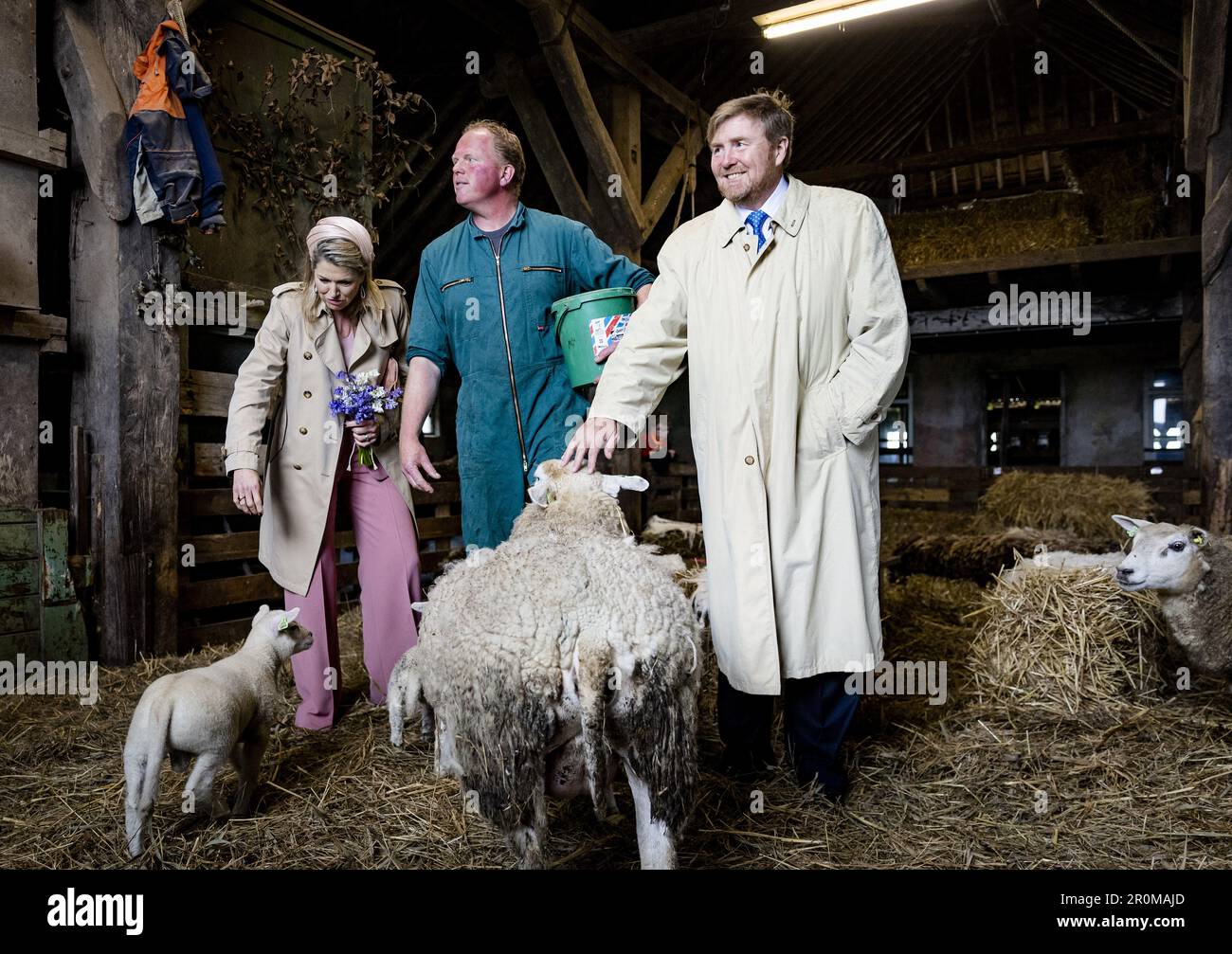 Isole Wadden, Paesi Bassi. 09th maggio, 2023. DEN BURG - Re Willem-Alexander e Regina Maxima posa in una stalla tra le pecore. Hanno parlato con gli imprenditori di Texel nella fattoria di pecore De Waddel di imprenditorialità e sviluppo a prova di futuro e clima-adattivo. La coppia reale pagherà una visita regionale di due giorni alle Isole Wadden. ANP SEM VAN DER WAL netherlands OUT - belgium OUT Credit: ANP/Alamy Live News Credit: ANP/Alamy Live News Foto Stock