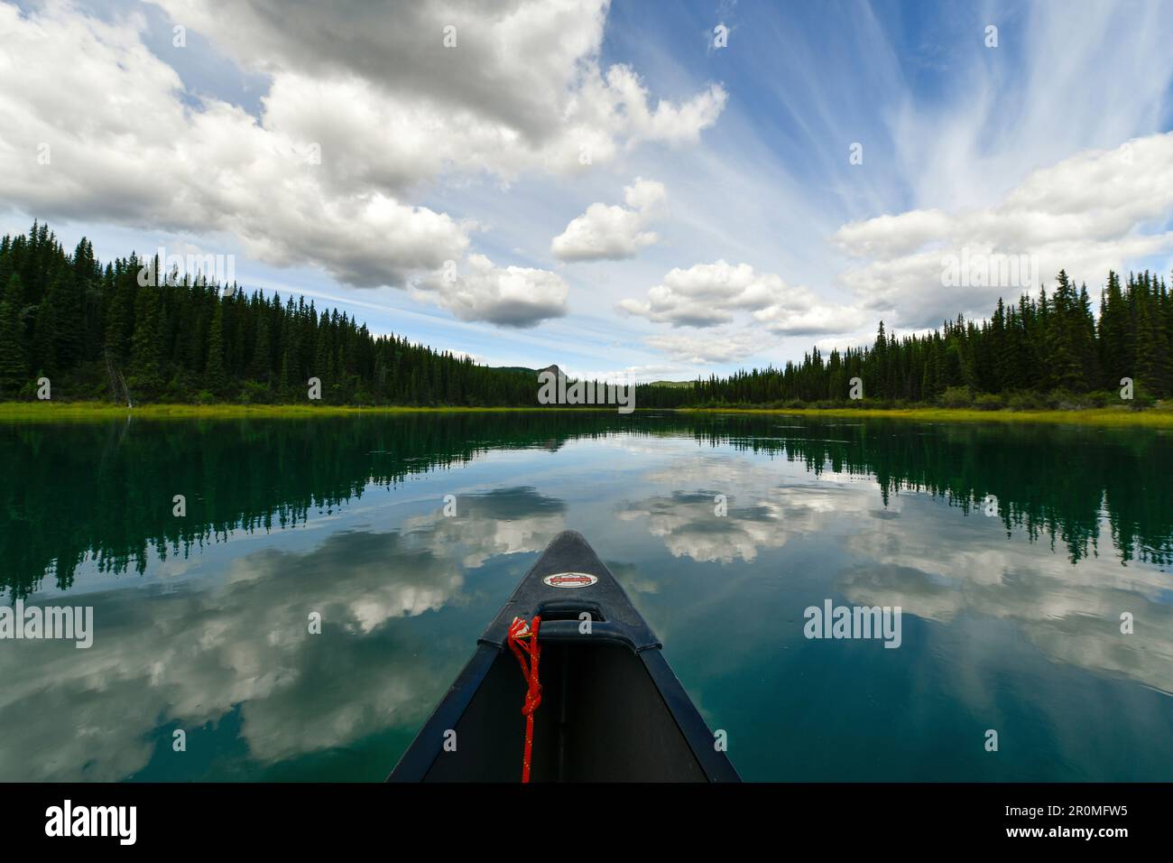 Vista da una canoa al fiume Yukon, un'escursione in canoa dal lago Laberge a Carmacks, Yukon, Canada Foto Stock