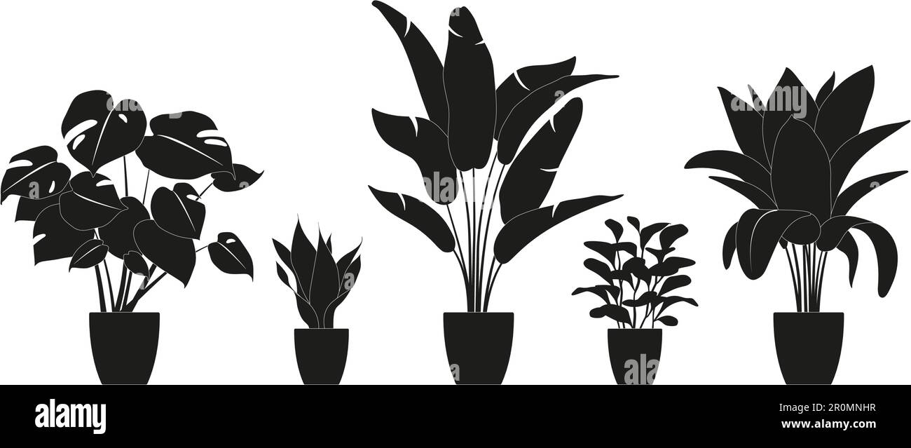 Collezione silhouette di piante da casa in colore nero. Piante in vaso isolate su bianco. Set verde piante tropicali. Arredamento alla moda casa. Illustrazione Vettoriale