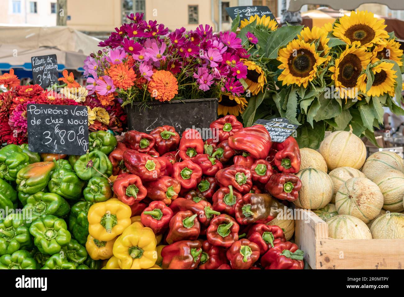 Mercato su Place Richelme, Aix en Provence, Francia Foto Stock