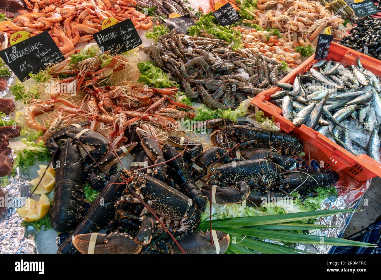 Mercato su Place Richelme, frutti di mare, Aix en Provence, Francia Foto Stock