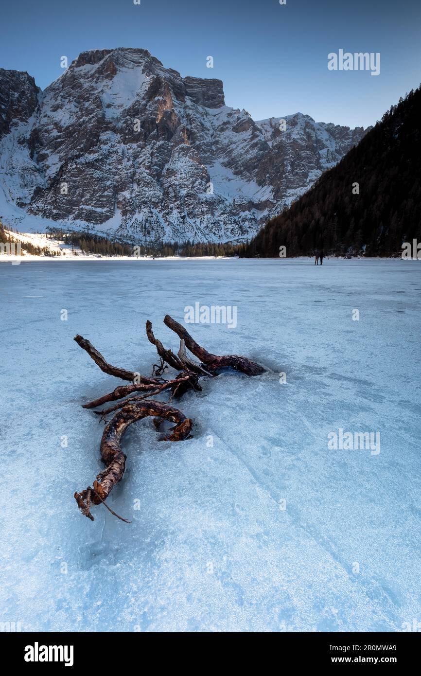 Strato di neve con ramo ghiacciato sul lago di Braies, sullo sfondo del massiccio montuoso delle Dolomiti in inverno, Lago di Braies, Braies, Alto Adige, Italia Foto Stock