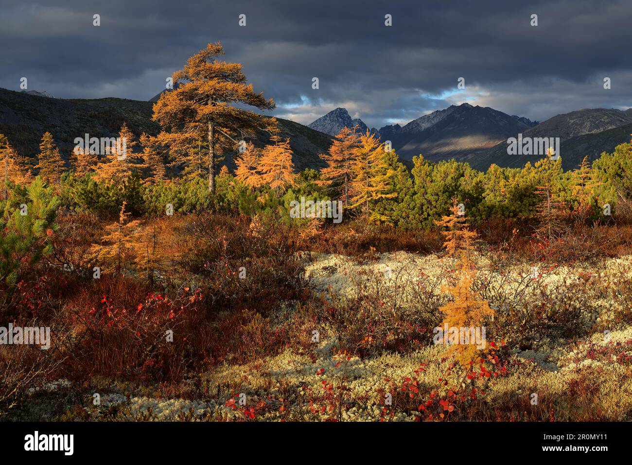 Giornata di sole sul lago Jack London, regione Magadan, Russia Foto Stock