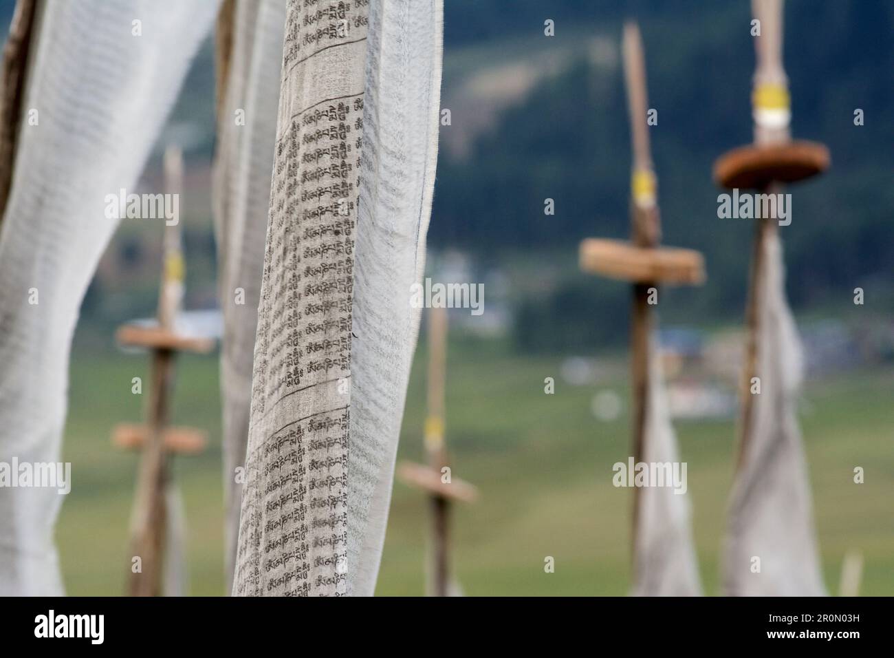 Bandiere di preghiera che commemorano un defunto, con impresso il mantra Om mani Padme hum, in, Phobjikha Valley, Bhutan, Himalaya, Asia Foto Stock