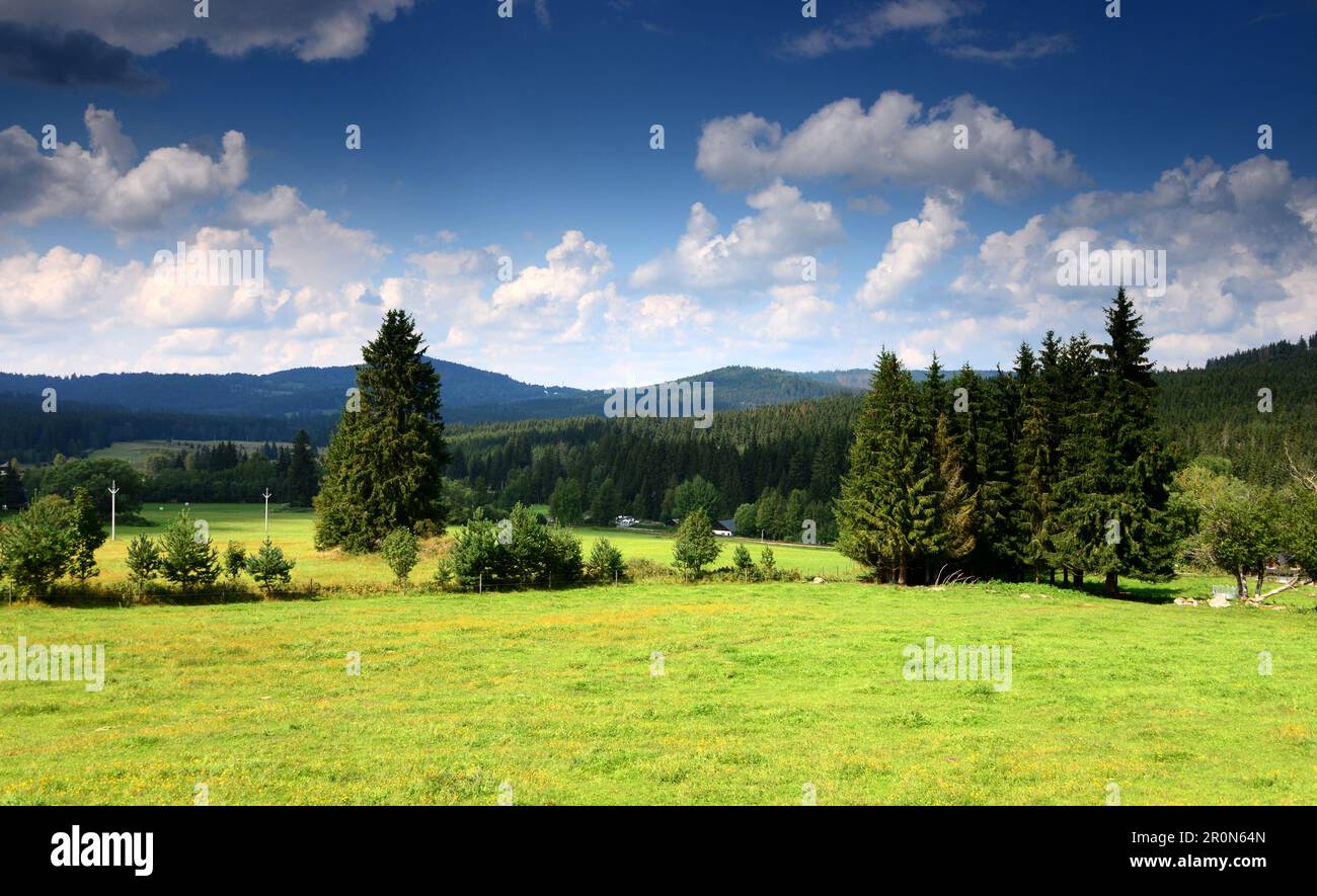 Su Vodni nadrz Lipno (lago), Foresta della Boemia Meridionale, Boemia Meridionale, Repubblica Ceca Foto Stock