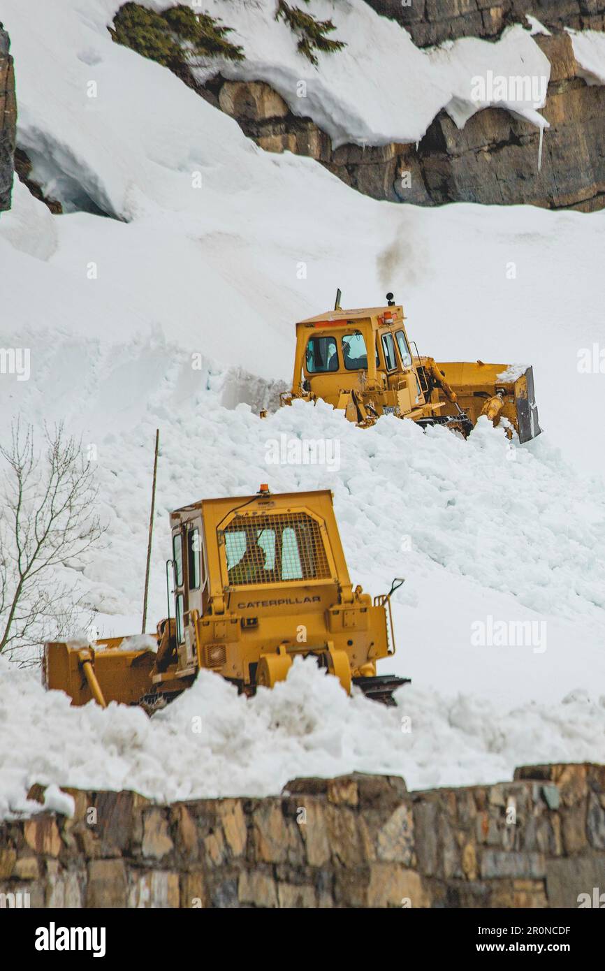 West Glacier, Stati Uniti d'America. 24 aprile 2023. Gli equipaggi degli spazzaneve utilizzano attrezzature pesanti per arare attraverso profonde derive di neve su Going-to-the-Sun Road durante l'operazione annuale di sgombero presso il Glacier National Park, il 24 aprile 2023 a West Glacier, Montana. Il lavoro pericoloso richiede dieci settimane per completare la rimozione delle derive di neve fino a 80 piedi di profondità ogni primavera prima che la strada possa riaprirsi. Credit: Daniel Lombardi/National Park Service/Alamy Live News Foto Stock