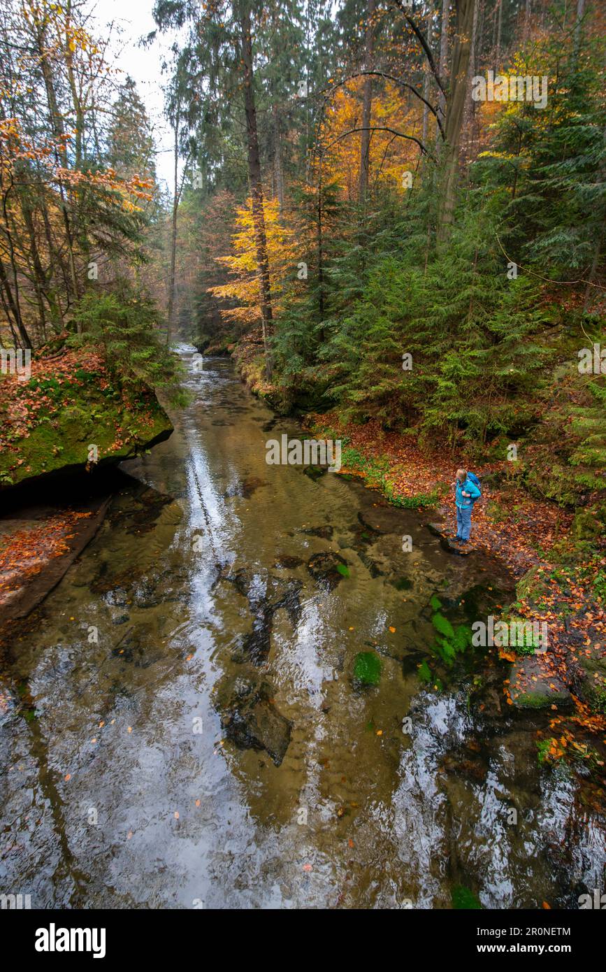 Tour autunnale sulla Malerweg a Elbsandstein, Germania Foto Stock
