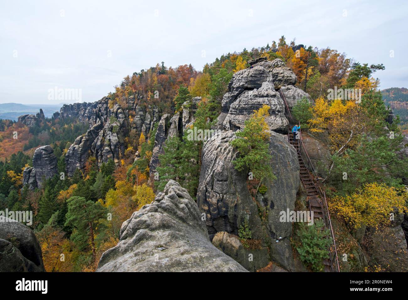 Tour autunnale sulla Malerweg a Elbsandstein, Germania Foto Stock