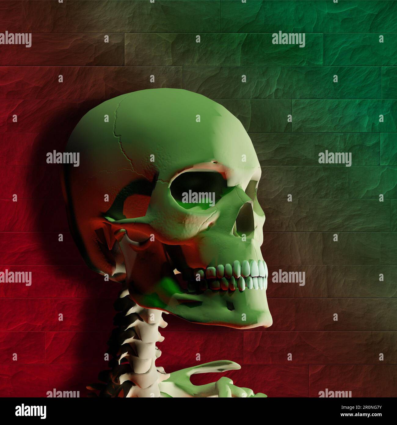 illustrazione del cranio umano Foto Stock