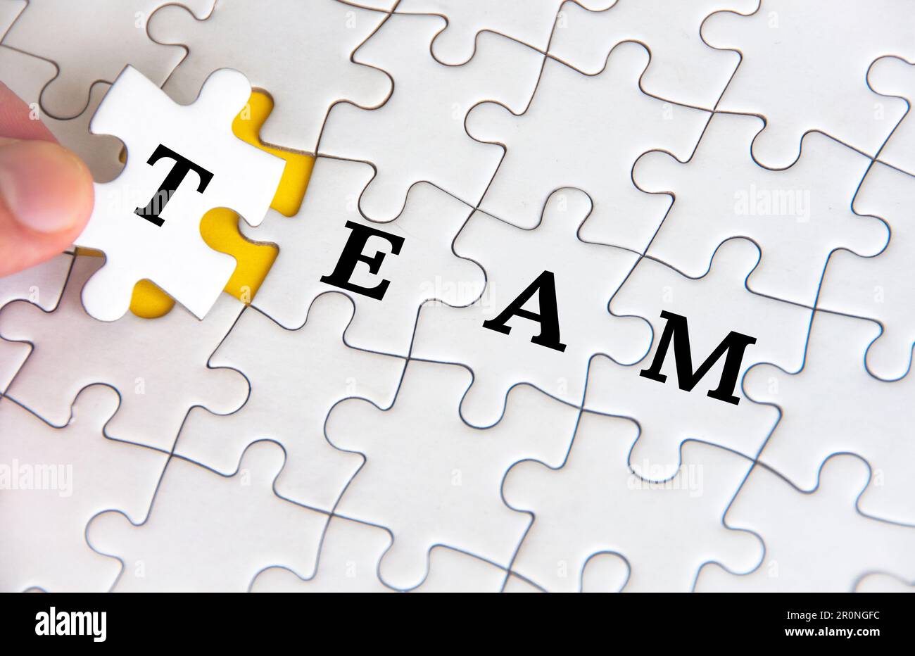 Testo di squadra su puzzle bianco. Concetto aziendale e di lavoro di squadra. Foto Stock