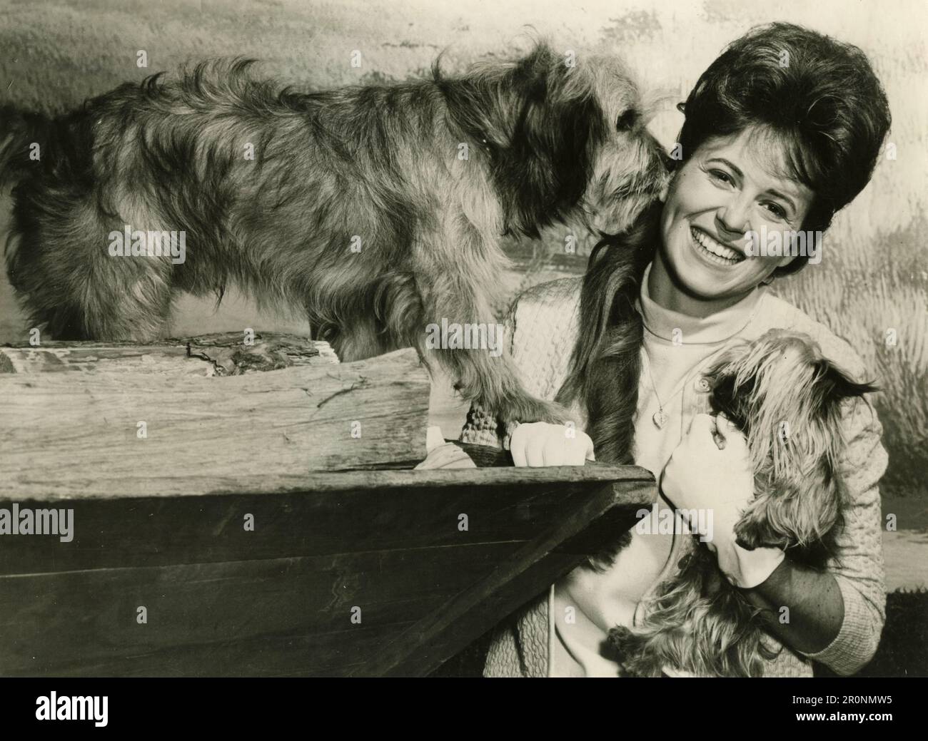 Attrice americana Alice Ghostley con due cani di piccola taglia, 1950s Foto Stock