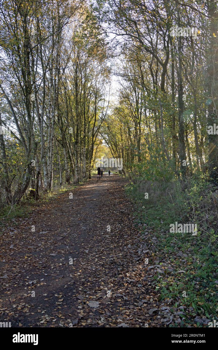 Lancaster Canal Tramroad ora un sentiero che va dal Ponte di Bamber attraverso il fiume Ribble a Preston Lancashire Foto Stock