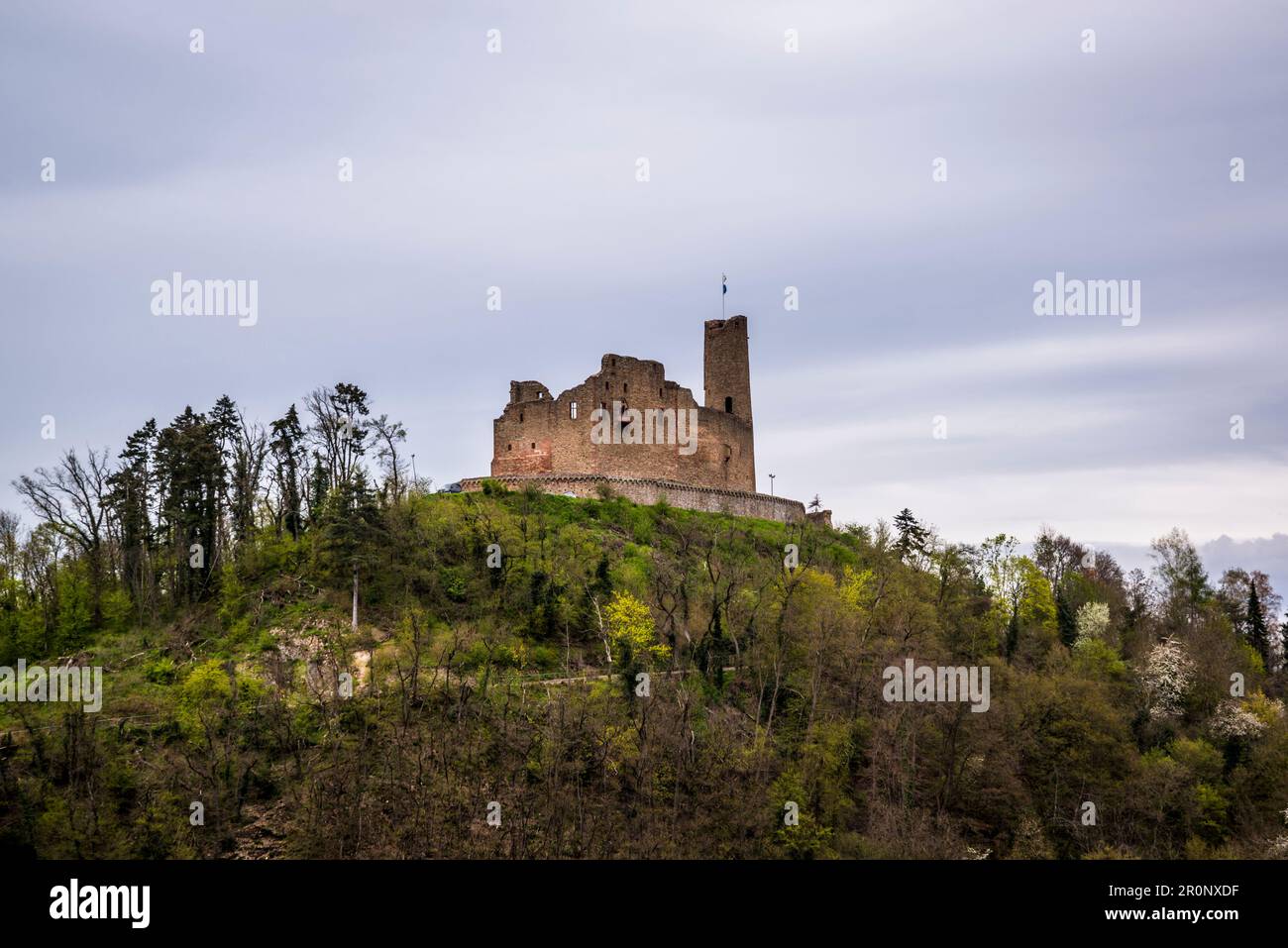 Castello di Windeck, costruito intorno al 1100, Weinheim, Baden-Württemberg, Germania Foto Stock