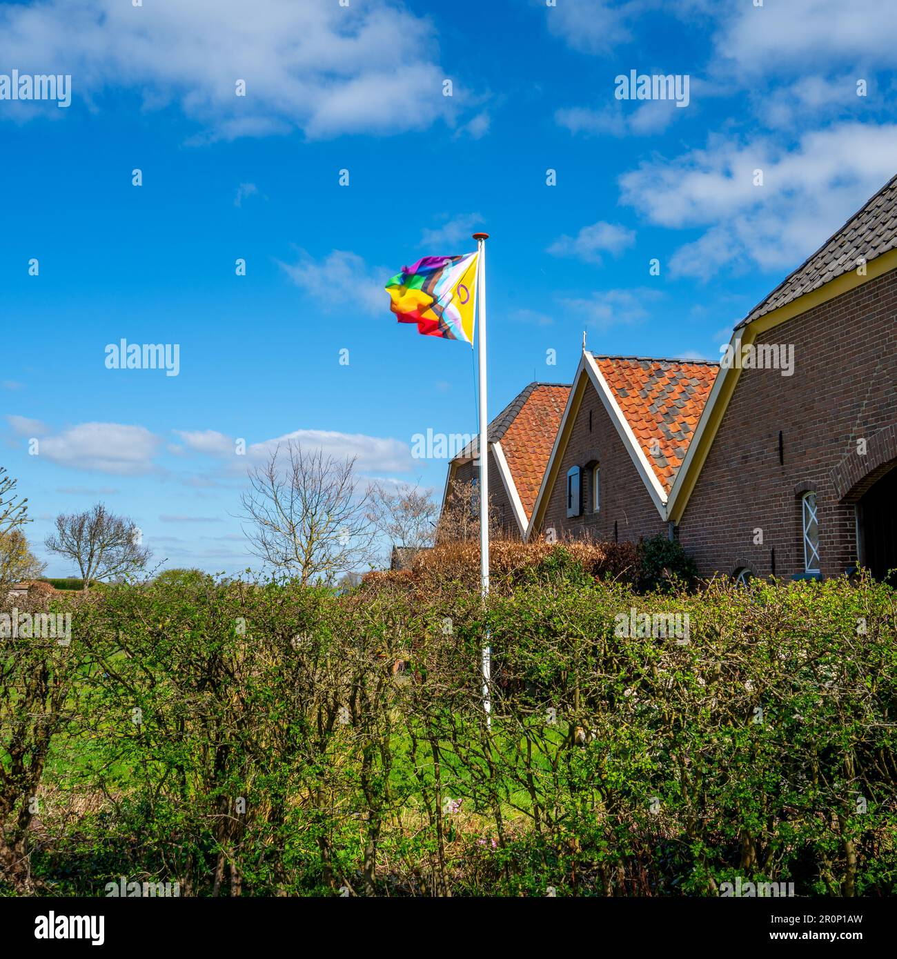 Scena con LGBTQ PRIDE-flag (6 colori e non binari) Foto Stock