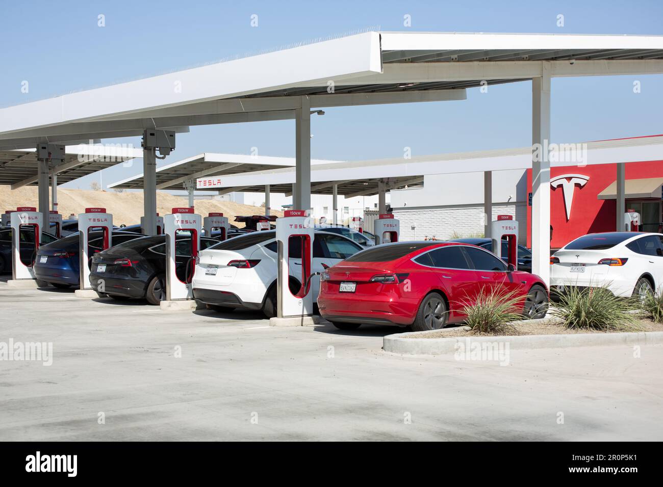 Kettleman City, California, Stati Uniti - 09-08-2021: Una vista dei veicoli Tesla collegati ai poli di alimentazione di una stazione Supercharger Tesla. Foto Stock