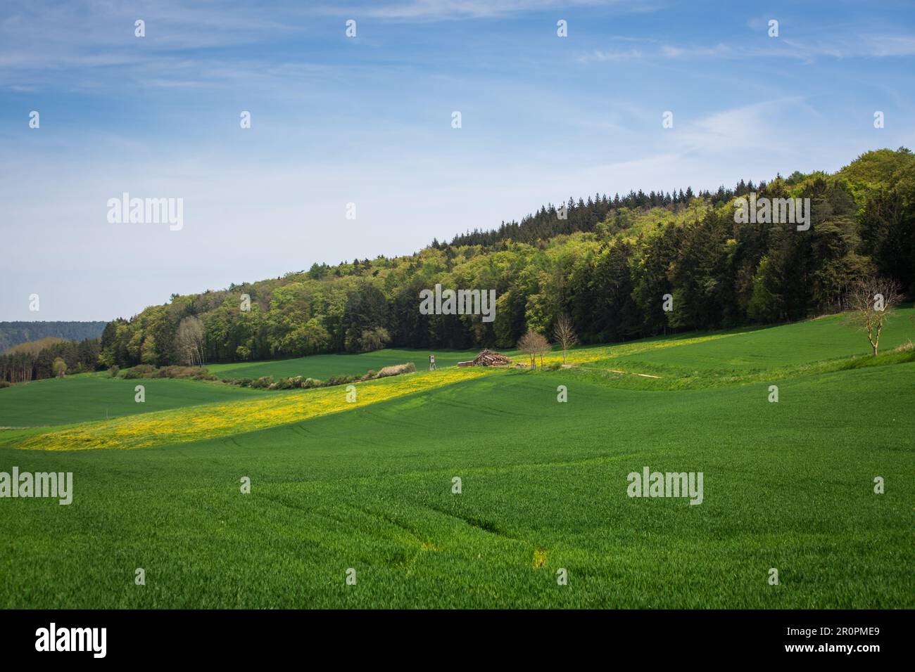 Altmühltal, Franconia centrale, Baviera - paesaggio idilliaco in una giornata di sole primaverili Foto Stock