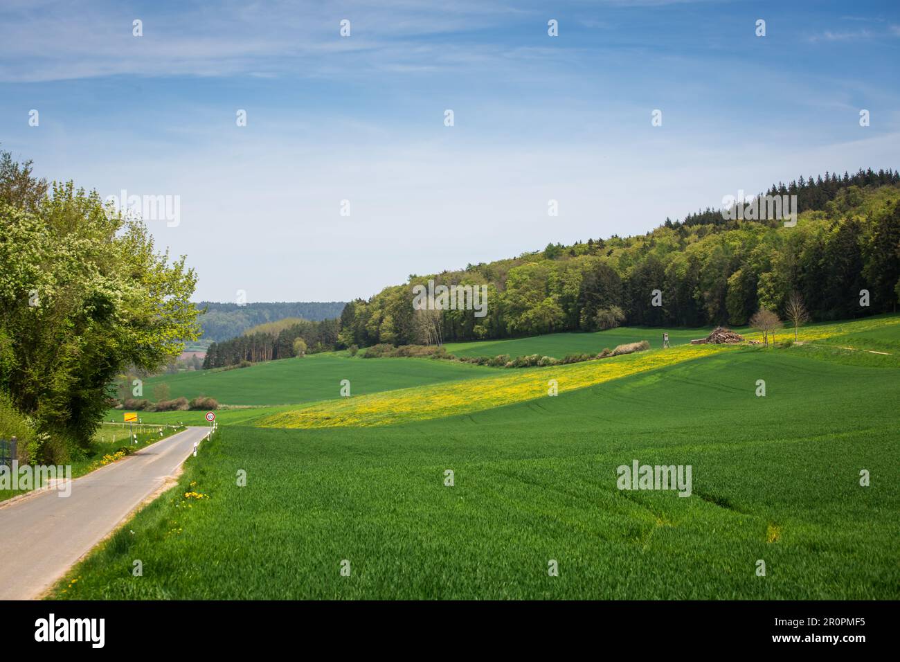 Altmühltal, Franconia centrale, Baviera - paesaggio idilliaco in una giornata di sole primaverili Foto Stock