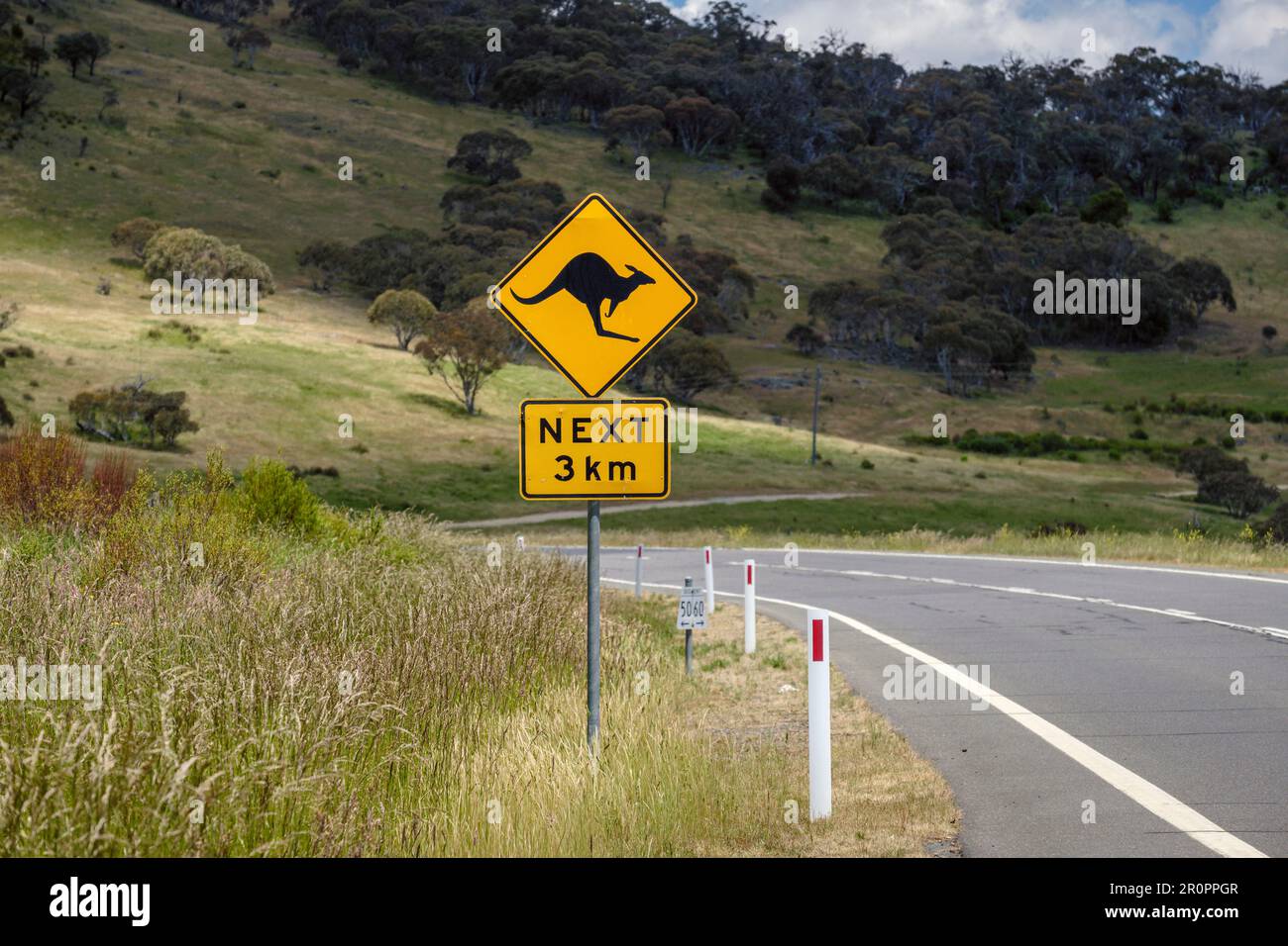 Un cartello di avvertimento canguro sulla Alpine Way in direzione delle Snowy Mountains, New South Wales, Australia Foto Stock