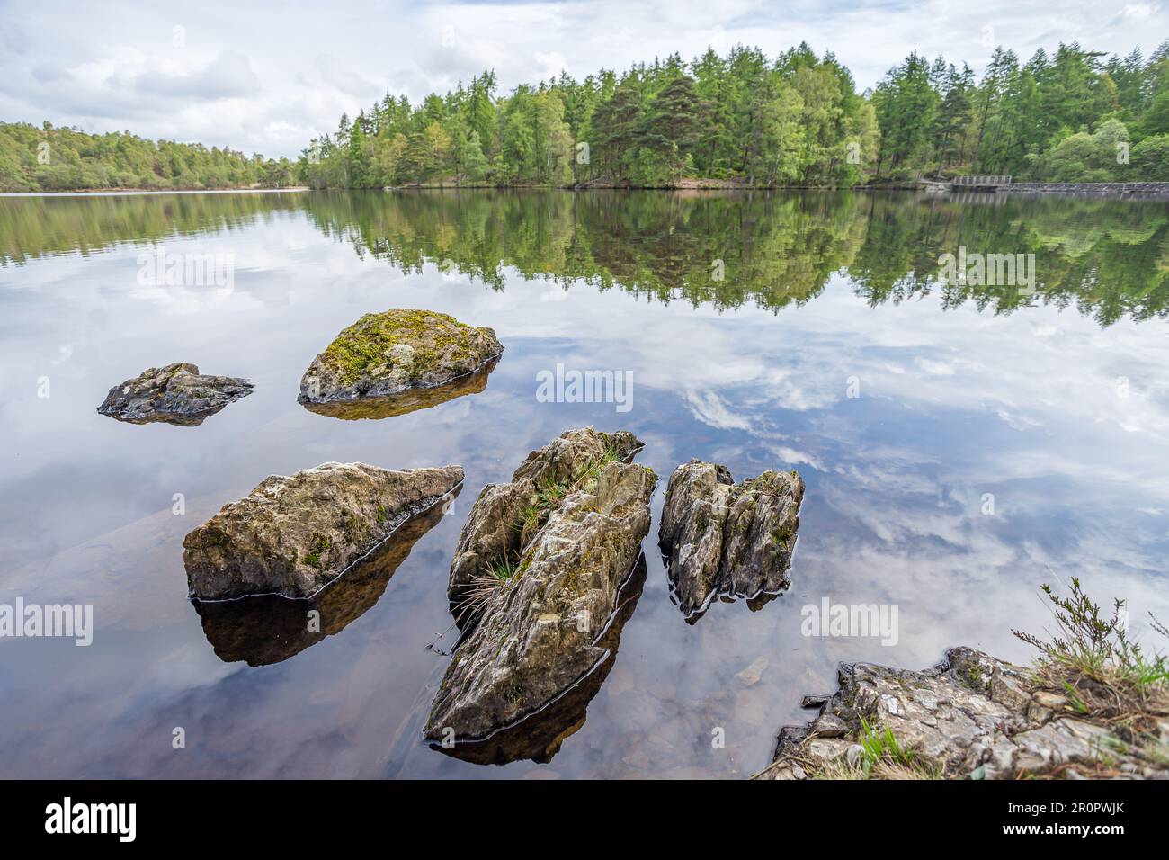 Rocce grigie frastagliate in primo piano perforano lo specchio come l'acqua su High Dam Tarn nel Lake District. Foto Stock