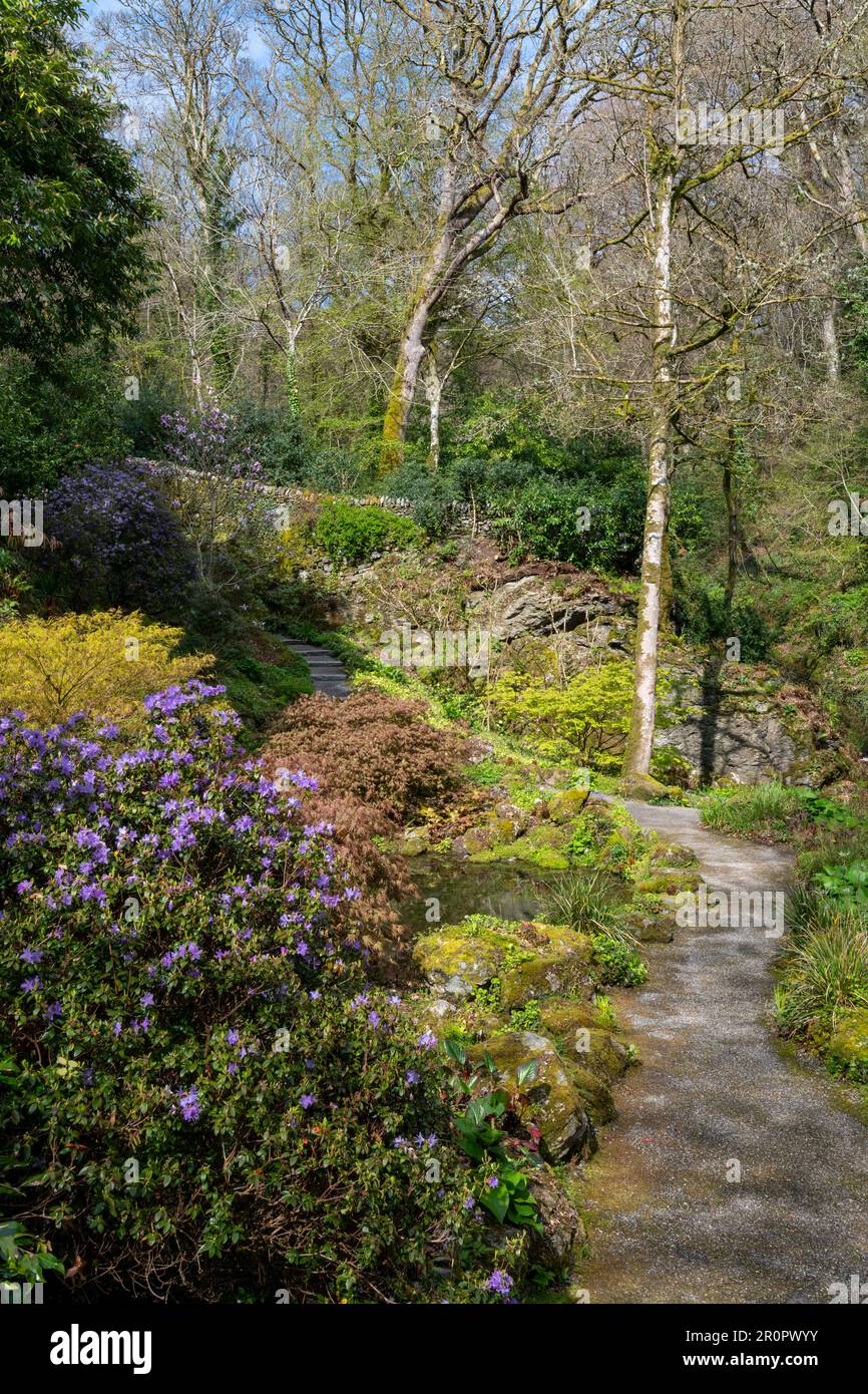 Plas Cadnant Hidden Gardens un bellissimo giardino a Menai Bridge, Anglesey, Galles del Nord. Aperto al pubblico regolarmente è pieno di interesse. Foto Stock